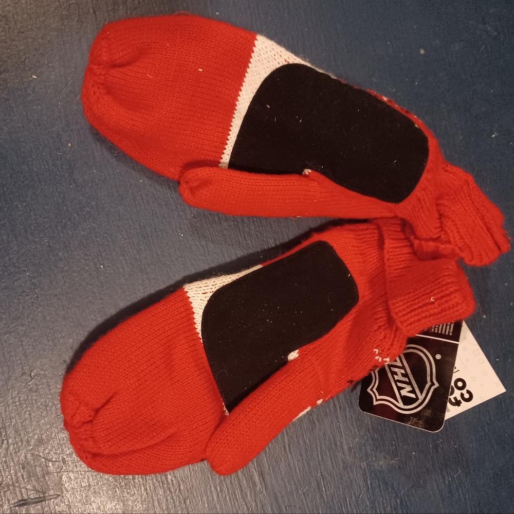 Mittens - Picture 2 of 2